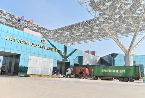 暢通跨境動脈 促進(jìn)越南與中國地方間進(jìn)出口貨物通關(guān)與國內(nèi)貿(mào)易代理發(fā)展